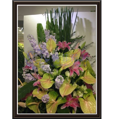 CBF-024